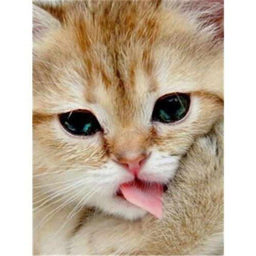 Animal Cat DIY 11CT Embroidery Cross Stitch Kits Craft Needlework Set Cotton Thread Printed Canvas Home Decoration New Sale