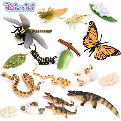 Butterfly Frog Snake Ant Spider Growth Life Cycle Animal Figurine Model Lifelike Action Figure Educational Gift Kids Hot Toy Set