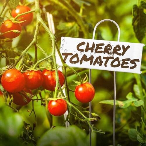 24Pcs Stainless Steel Sign Markers Plant Nameplate Labels Tags Garden Markers for Potted Herbs Flowers Arrangement Tools