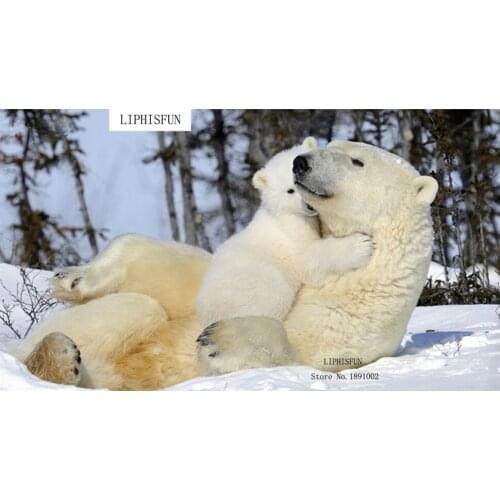 Diy 5d Diamond Painting Polar Bear, Animal Snow,Pictures Rhinestones,pictures Of Resins And Diamonds Handcraft,Diamond