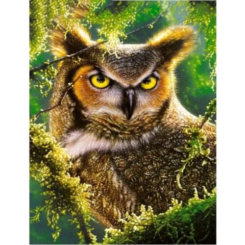 5D Diy diamond painting owl diamond embroidery full diamond rhinestone stickers cross stitch mosaic home decoration FR837
