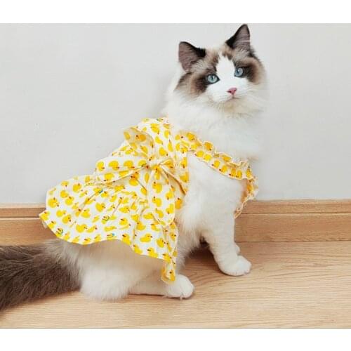 New Dog Sweater For Small And Medium Sized Pet Sweater Autumn And Winter Hooded Jacket Cute Chick Cats Pet Clothes