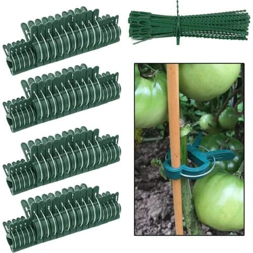 40Pcs Garden Plant Fixed Clamps Reusable Fastener Clips Vegetable Flower Plant Clip Seedling Plants Support Tools For Greenhouse
