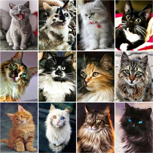 Huacan Cat 5D Diy Diamond Painting Animal Embroidery Cross Stitch Rhinestones Picture Bedroom Decoration