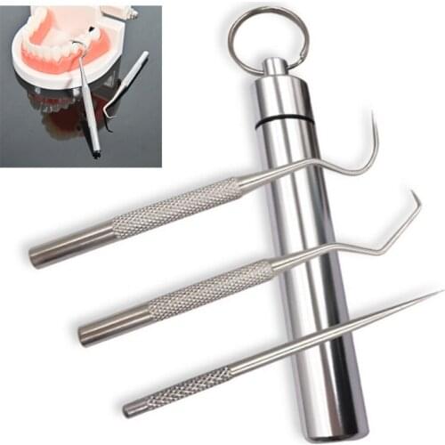 Stainless Steel Toothpick Toothpick Holder Anti-rust Toothpick Tool For Camping Hiking Outdoor Portable Toothpick Set