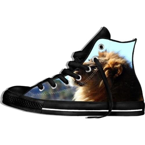 Customized 3D Pattern Mens Street-Star Shoes Animal mens Street-Star Side Fashion Spring High Top Canvas Shoes