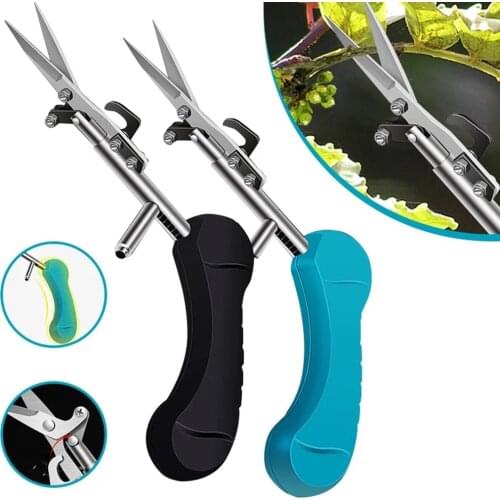 Chrome Plating Plant Trim Horticulture Hand Pruner Cut Secateur Shrub Garden Scissor Tool Fruit Picking Scissors Pruning Shears