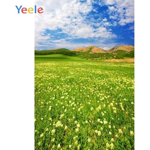 Spring Grassland Flower Cloud Nature Scenery Baby Portrait Backdrop Photography Background For Photo Studio Wedding Photocall