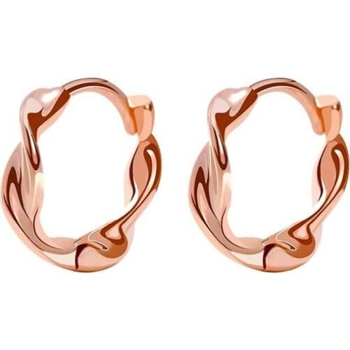Hot Selling In 2020 Versatile Womens Earrings Sexy and Exquisite Beautiful Jewelry