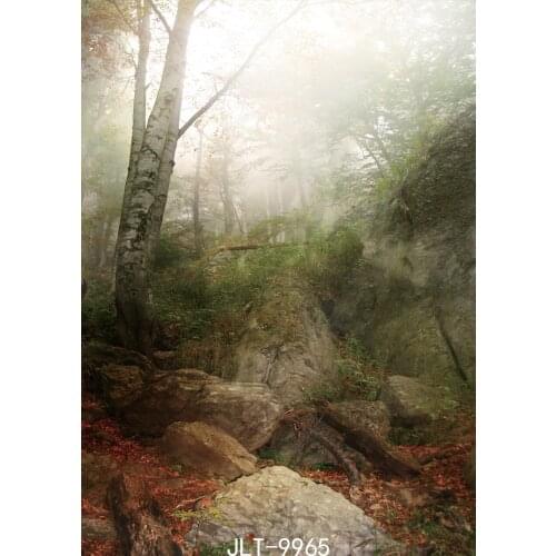 Forest Stone Photo Background Fog Mysterious Photography Backdrops Vinyl Cloth Customize Backgrounds for Photo Studio Photoshoot