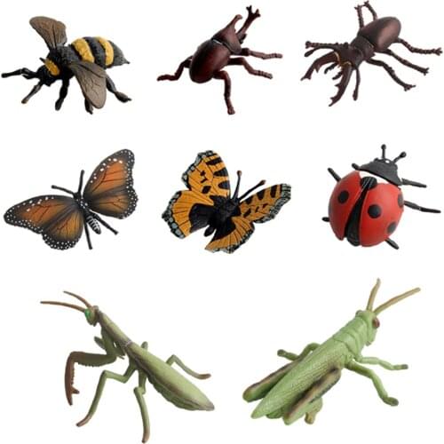 8pcs Complete Insect Figures Mini Animal Toys Small Bugs for Boys