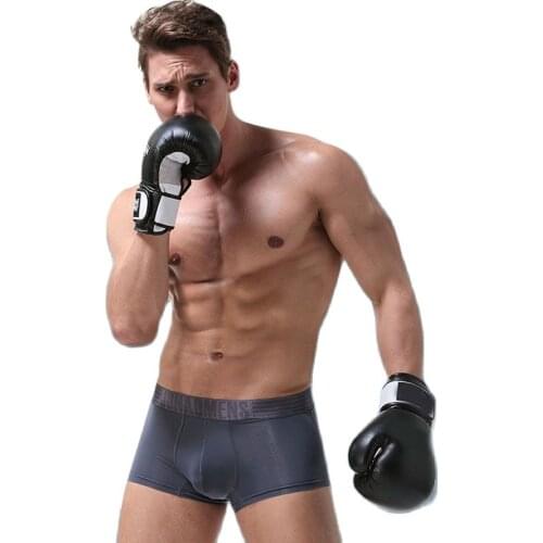 Mens Ice Silk Boxers Sexy Seamless Solid Thin Soft Man Underwear U Pouch Breathable Fast Drying Underpants Cueca Calzoncillos