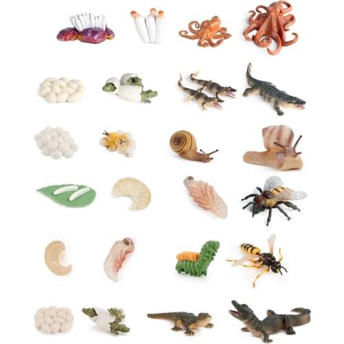 Simulation Animals Action Figure Life Cycle Octopus Crocodile Snails Bee Wasp Growth Lift Figurine Gift Educational Kids Toys