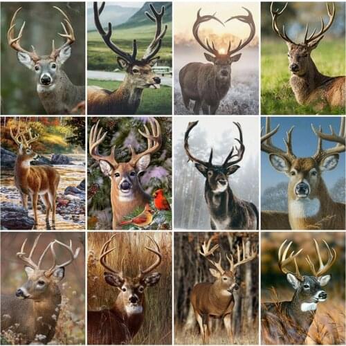 EverShine Diamond Embroidery Full Square Deer Mosaic Diamond Painting Animal Cross Stitch Handicraft Hobby Gift Wall Decoration