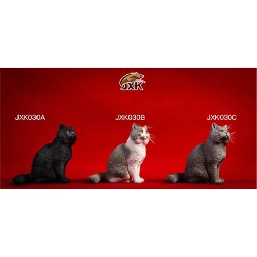 JXK 1:6 Scale British Shorthair Cat Figure Cute Pet Healing Figure Canidae Animal Collector Toy Resin Desktop Decoration Gift