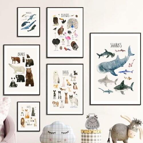 Canine Feline Mammals Marine Life Birds Wall Art Canvas Painting Nordic Posters And Educate Prints Wall Pictures Kids Room Decor