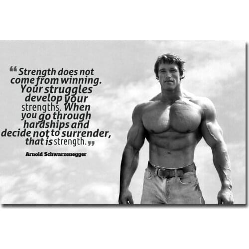 NICOLESHENTING Arnold Schwarzenegger Bodybuilding Motivational Quote Silk Poster 12x18 24x36inch Inspirational Wall Picture 05