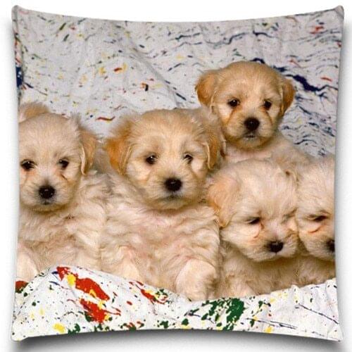 A puppy covered in blanket Pillows Case Cotton Polyester Sofa Car Cotton Cushion Cover Creative Decoration Square 5 size 9 style