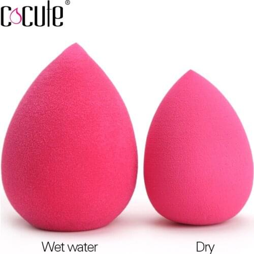 Cocute Sponges