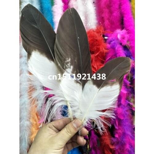 Free shipping wholesale 10pcs scarce natural golden eagle feathers 16-24cm/6-10inch collect decoration Jewelry accessories diy