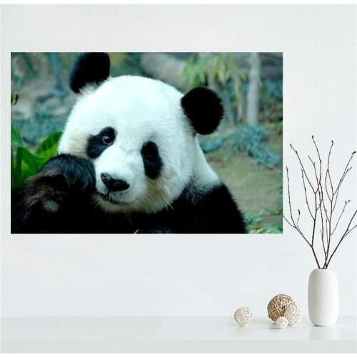 Custom Canvas Wall Decor Panda Colorful Poster Cloth Wall Silk Fabric Posters And prints Home Decor Painting