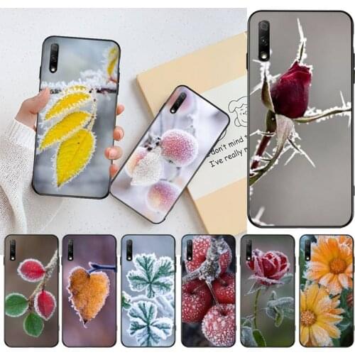 Plants frozen in winter TPU Soft Silicone Phone Case Cover for Huawei Honor 30 20 10 9 8 8x 8c v30 Lite view pro