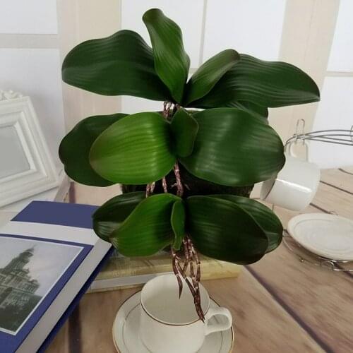 Real Touch Artificial Green Butterfly Orchid Plastic Leaf Beauty Plant Home Decor for Wedding Decor DIY Gift 1PC