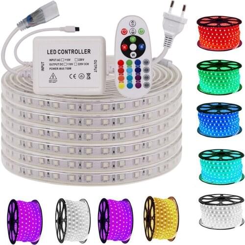 AC220V LED Strip Light Remote Control RGB 5050 Led Strip High Bright Tape Diode 60Leds/m Waterproof Led Ribbon Outdoor Lighting