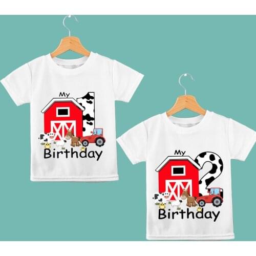 Country rustic Barnyard farm Animals themed 1st 2nd 1 2 first second One two year old boy girl Happy birthday decoration gift