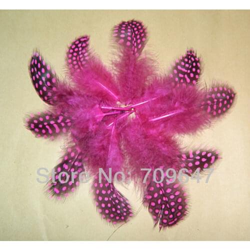 200Pcs/Lot 6-12cm Feathers,BRIGHT HOT PINK/ROSE LOOSE GUINEA FEATHERS BEAUTIFUL,Craft Loose GUINEA FEATHERS