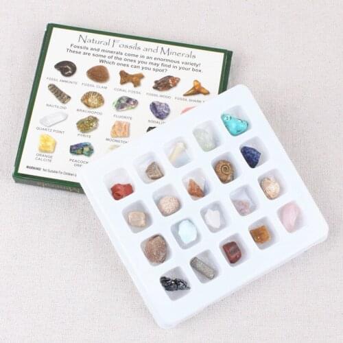 20 Kinds Mini Natural Crystal Ore Specimen Mineral Rock Geography Teaching Materials Mineral Specimen Gift for Kids Education