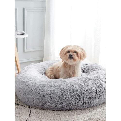 PETWILLINGLOVE Pet Supplies