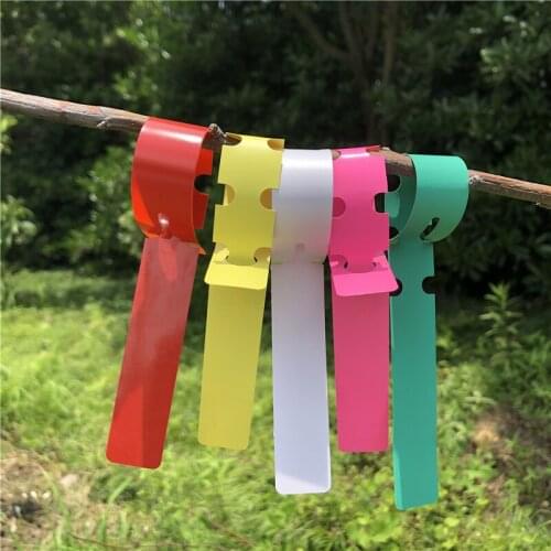 100pcs Plastic Gardening Garden Hang Tag Label Hanging Tree Seedling Plant Fruit Trees Signs Prompt Card Classification Tool
