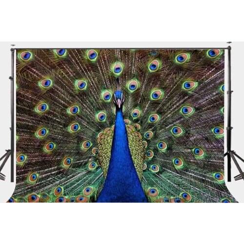7x5ft Backdrop Beautiful Peacock Feathers Photography Background Photo Video Studio Props
