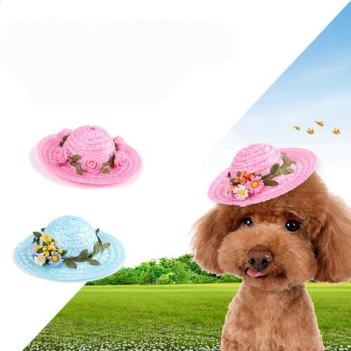 HJKL Hats For Dogs