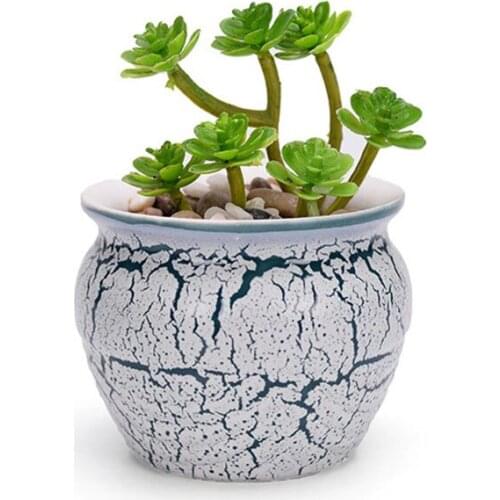 Succulent Planter Grain Vase Container Office Ornaments Creative Ceramic Flowerpot Desktop Bonsai Pot Home Garden Decor