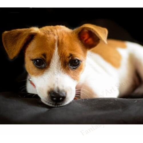 Jack Russell Terrier Diy Diamond Painting Kit Cross Stitch 5d Diamond Embroidery for Sale Pattern Rhinestone Mosaic Animal Dog