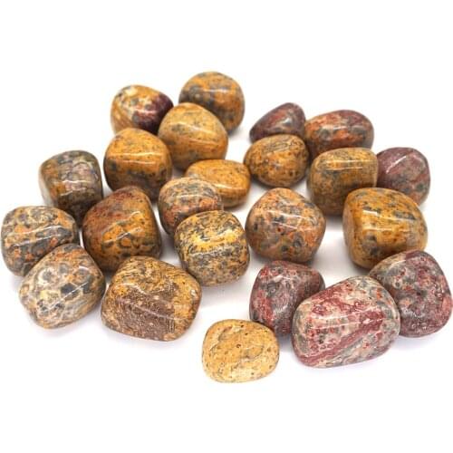 Natural Leopard Jasper Healing Crystal Material Specimen Teaching Rock Reiki Tumbled Stone Bulk Gemstone Aquarium Decor Crafts