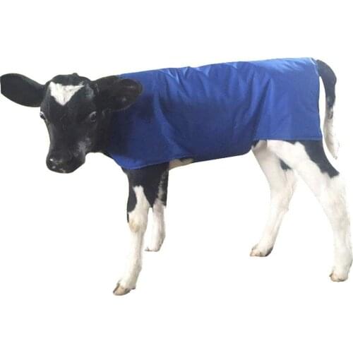 1Pcs Calf Warm Clothes for Keeping Cow Warm in Dairy Farm, Clothes for Calf Use Baby Calf Saver Coat Blanket