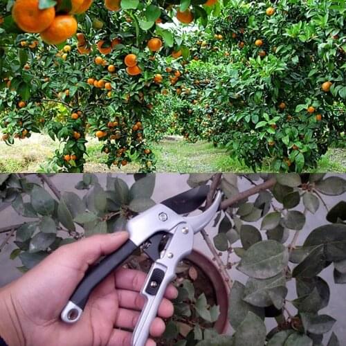 Labor-saving Pulley Fruit Branches Garden Pruning Shear Tools Carbon Steel Bonsai Tree Flower Fruit Branch Pruning Scissors