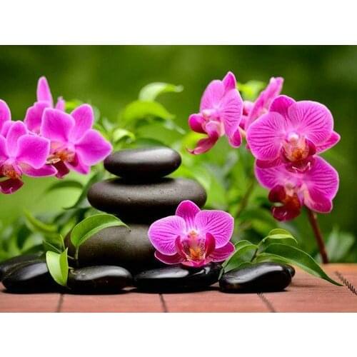 Diamond Painting Orchid Flower 5d Diy Mosaic Full Square Round Drill Diamant Of Rhinestone Daimond Embroidery Pictures Sale