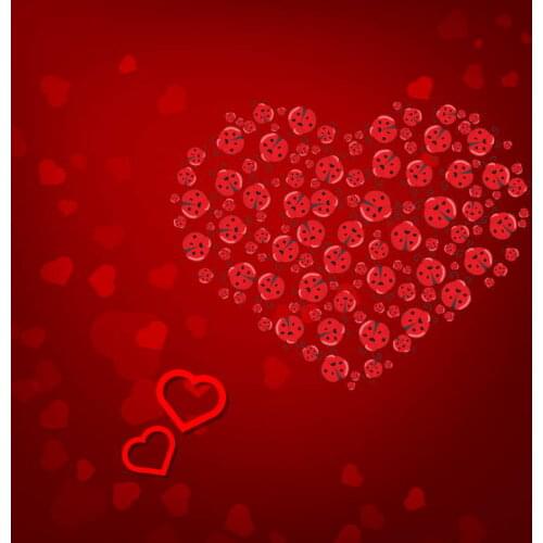 VinylBDS 5X7FT Red Wedding Valentines Day Backdrops Photography Backgrounds Photo Studio Heart Washable Photography Background