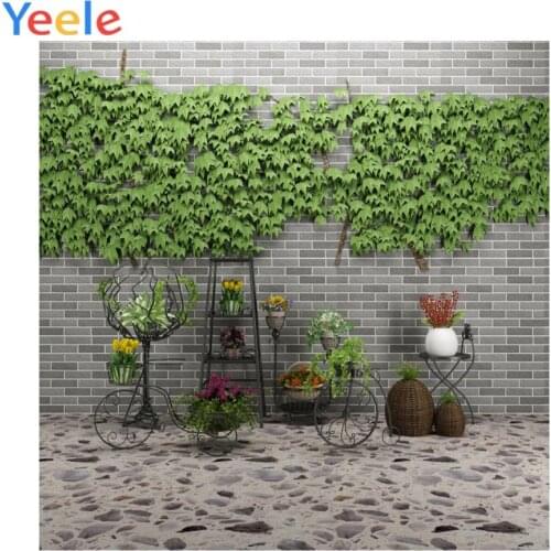 Brick Wall Stone Floor Green Leaves Flowers Scene Portrait Photo Backgrounds Baby Shower Photography Backdrops For Photo Studio