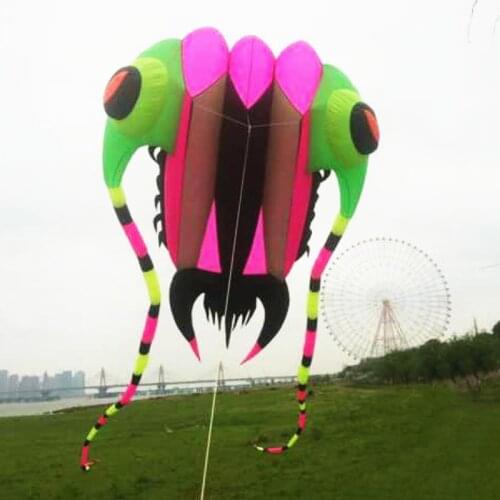 Free send large trilobites soft kite ripstop nylon fabric kite factory tadpole outdoor toys flying for adults kitesurfing beach