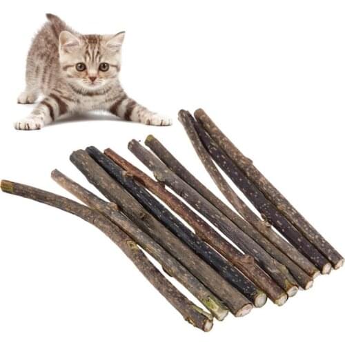 5/10/15/20pcs Pure Natural Catnip Pet Cat Toy Molar Toothpaste Branch Cleaning Teeth Silvervine Cat Snacks Sticks Pet Supplies