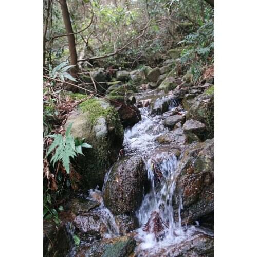 2020 new arrived 5D diamond painting diamond embroiderey A mountain stream Christmas Kit