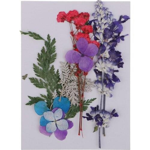 Assorted Mixed Color Natural Dried Flowers For Resin Casting Filler Card Making Scrapbooking DIY