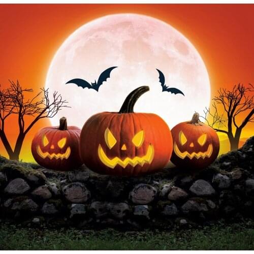 Halloween Pumpkin Lantern Moon Bat Baby Portrait Branch Photography Backdrops Photo Background Photozone Photophones For Photos