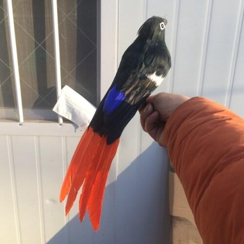 New simulaiton black magpie toy polyethylene & furs lovely orange tail magpie model about 30cm 2517