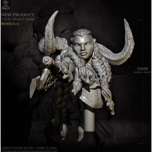 55MM Resin Bust Figure Model Kits Toys Self-assembled TD-2464